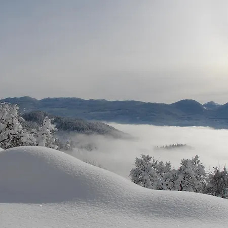 Vakantiehuis Podjelje *