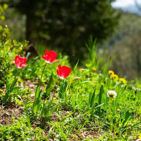 Podjelje Vakantiehuis