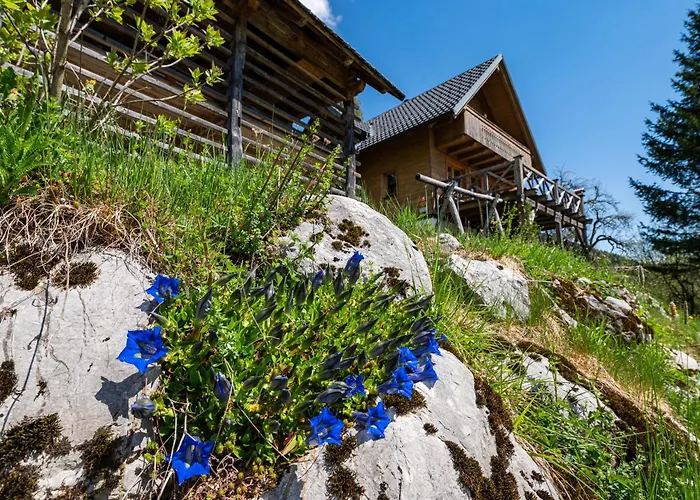 Nyaraló Podjelje Podjelje